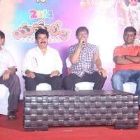 Yamaleela Movie 20 Years Completion Press Meet Photos | Picture 748744