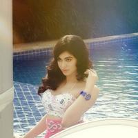 Adah sharma Latest Phoot Shoot Pictures | Picture 749875