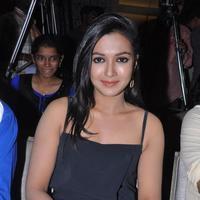 Catherine Tresa - Paisa Movie Pre Release Press Meet Pictures | Picture 707805