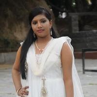 Sivaya Gari Manavaralu Movie Photos | Picture 719296