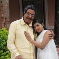 Sivaya Gari Manavaralu Movie Photos | Picture 719299