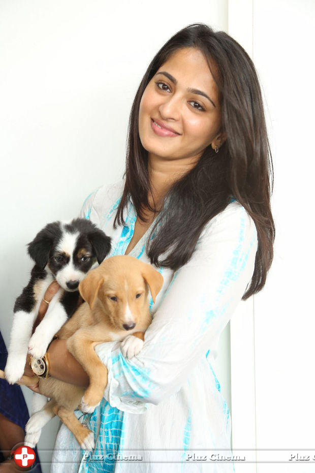 Anushka Shetty - Anushka at Blue Cross Pet Carnival 2014 Photos | Picture 702575