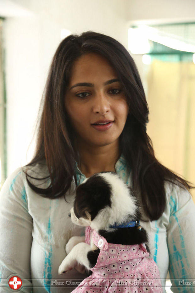 Anushka Shetty - Anushka at Blue Cross Pet Carnival 2014 Photos | Picture 702577