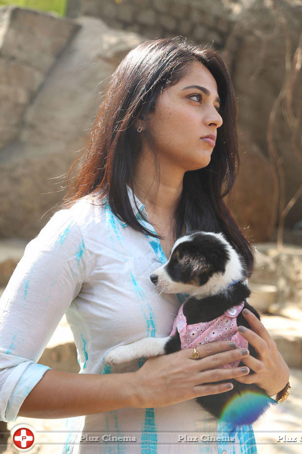 Anushka Shetty - Anushka at Blue Cross Pet Carnival 2014 Photos | Picture 702578