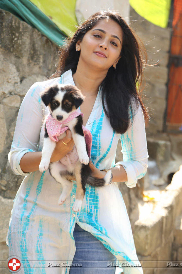 Anushka Shetty - Anushka at Blue Cross Pet Carnival 2014 Photos | Picture 702585
