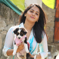 Anushka Shetty - Anushka at Blue Cross Pet Carnival 2014 Photos | Picture 702585
