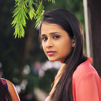 Kritika Singhal - Dil Deewana Movie Heroine Photos | Picture 702645