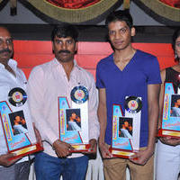 Preminchali Movie Disk Function at Viswanath Theatre Photos | Picture 722061