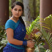 Pooja Ramachandran - Adavi kachina Vennela Movie Latest Stills | Picture 725385