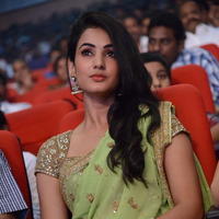 Sonal Chauhan - Legend Movie Audio Release Photos | Picture 724814