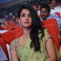 Sonal Chauhan - Legend Movie Audio Release Photos | Picture 724815