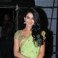 Sonal Chauhan - Legend Movie Audio Release Photos | Picture 724282