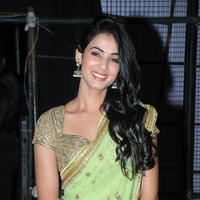 Sonal Chauhan - Legend Movie Audio Release Photos | Picture 724283