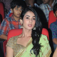 Sonal Chauhan - Legend Movie Audio Release Photos | Picture 724480
