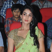 Sonal Chauhan - Legend Movie Audio Release Photos | Picture 724524