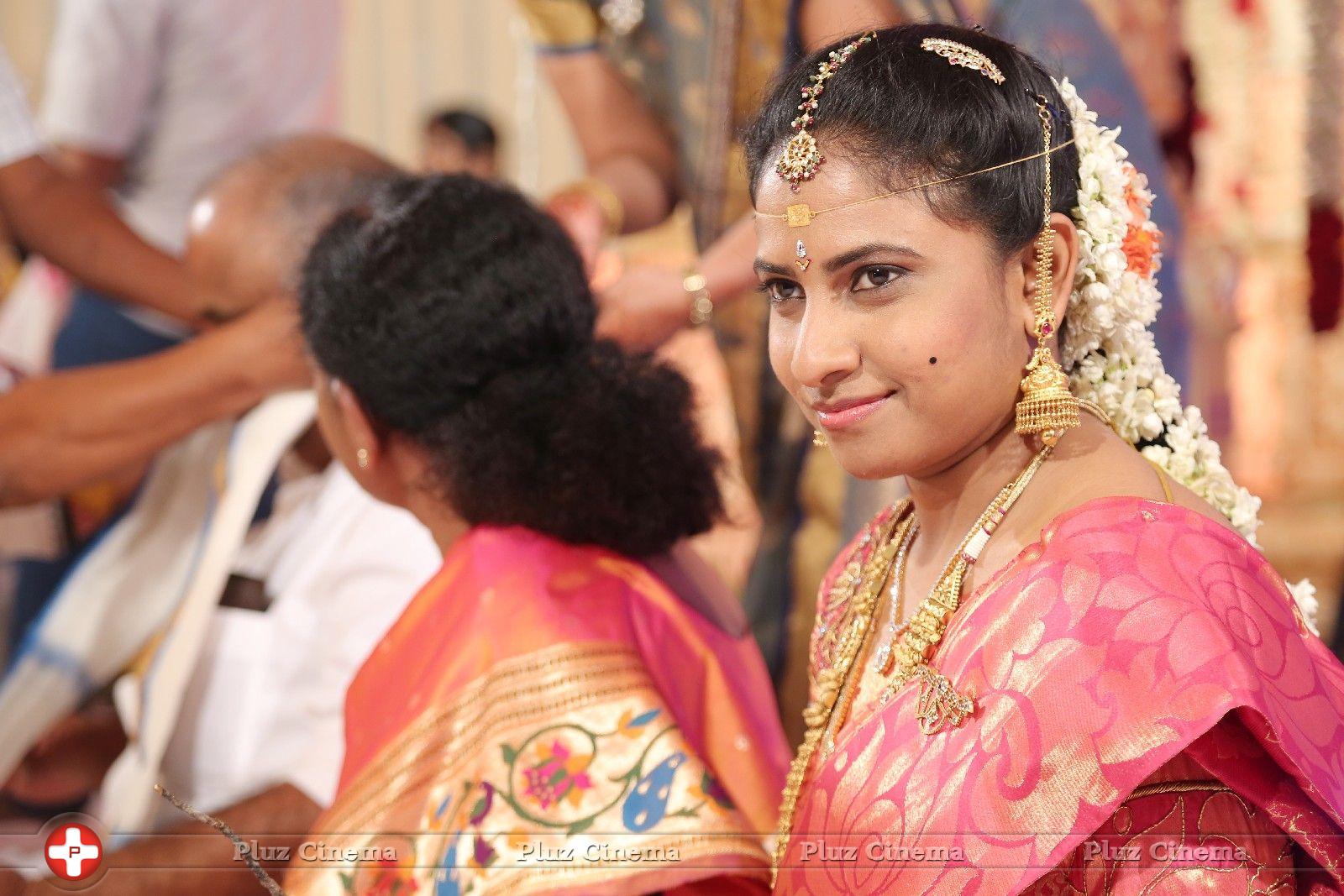 BVSN Prasad Daughter Wedding Photos | Picture 726127