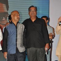 Laddu Babu Movie Audio Release Function Photos | Picture 730007