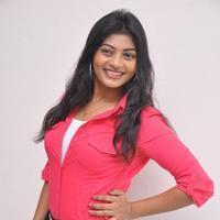 Sowmya Photos in Jeans at Galata Movie Audio Launch | Picture 729712