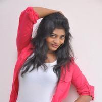 Sowmya Photos in Jeans at Galata Movie Audio Launch | Picture 729717