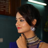 Shanvi Srivastava - Rowdy Movie Audio Launch Photos
