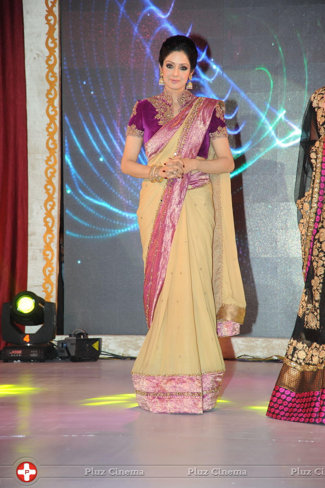 Sridevi Kapoor - GR8 Women Awards 2014 Stills | Picture 734153