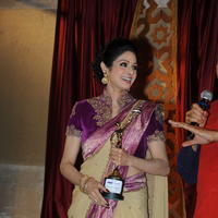 Sridevi Kapoor - GR8 Women Awards 2014 Stills