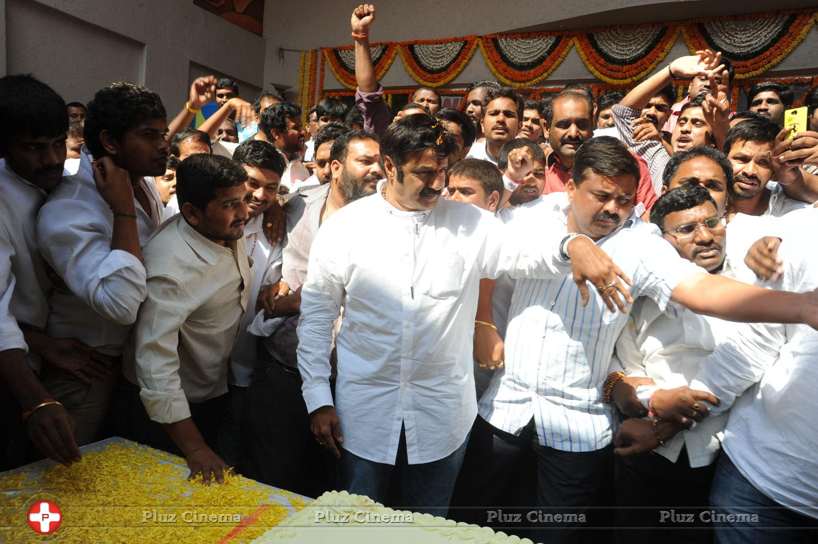 Nandamuri Balakrishna - Legend Hungama At Bramaramba Theater Photos | Picture 736411