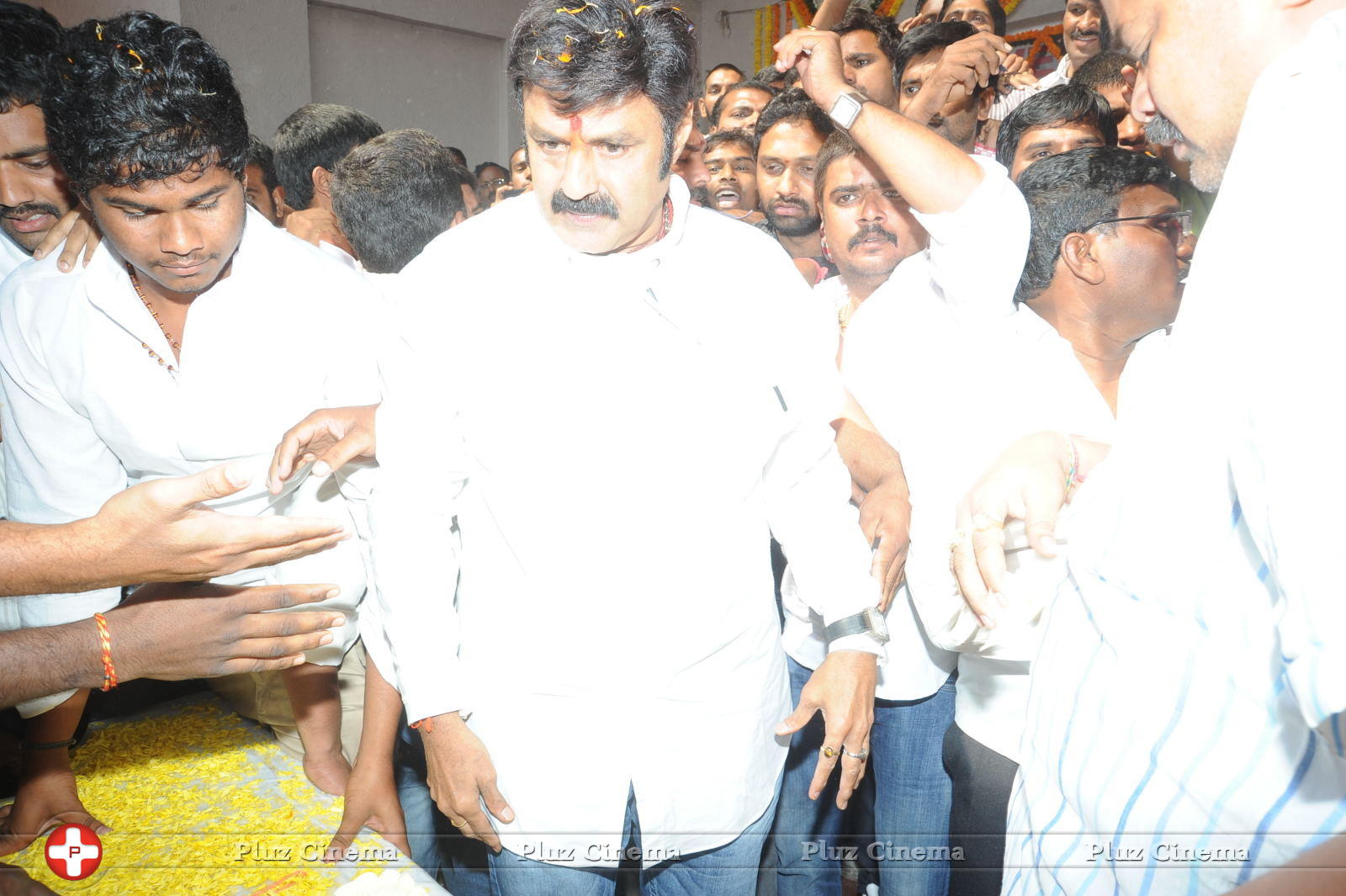 Nandamuri Balakrishna - Legend Hungama At Bramaramba Theater Photos | Picture 736425