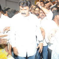 Nandamuri Balakrishna - Legend Hungama At Bramaramba Theater Photos | Picture 736425