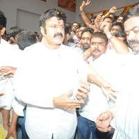 Nandamuri Balakrishna - Legend Hungama At Bramaramba Theater Photos | Picture 736426