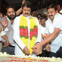 Nandamuri Balakrishna - Legend Hungama At Bramaramba Theater Photos | Picture 736433