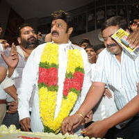 Nandamuri Balakrishna - Legend Hungama At Bramaramba Theater Photos | Picture 736434