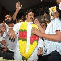 Nandamuri Balakrishna - Legend Hungama At Bramaramba Theater Photos | Picture 736435