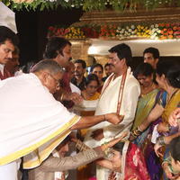 Sivajiraja Daughter Wedding Photos | Picture 756132