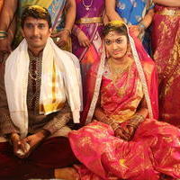 Sivajiraja Daughter Wedding Photos | Picture 756173