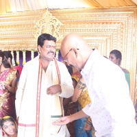 Sivajiraja Daughter Wedding Photos | Picture 756190