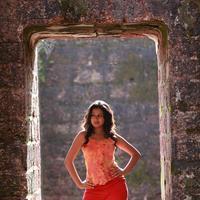 Manjula Rathod - Green Signal Movie Heroine Manjula Rathod Stills | Picture 756595