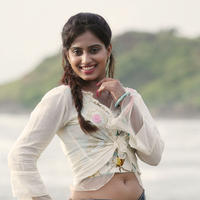 Green Signal Movie Heroine Dimple Hot Photos | Picture 757330