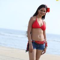 Green Signal Movie Heroine Shilpi Sharma Hot Photos | Picture 757826