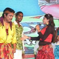 Ra Ra Krishnayya Movie Audio Launch Photos | Picture 758921