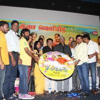 Savarikkadu Movie Audio Launch Stills | Picture 894268