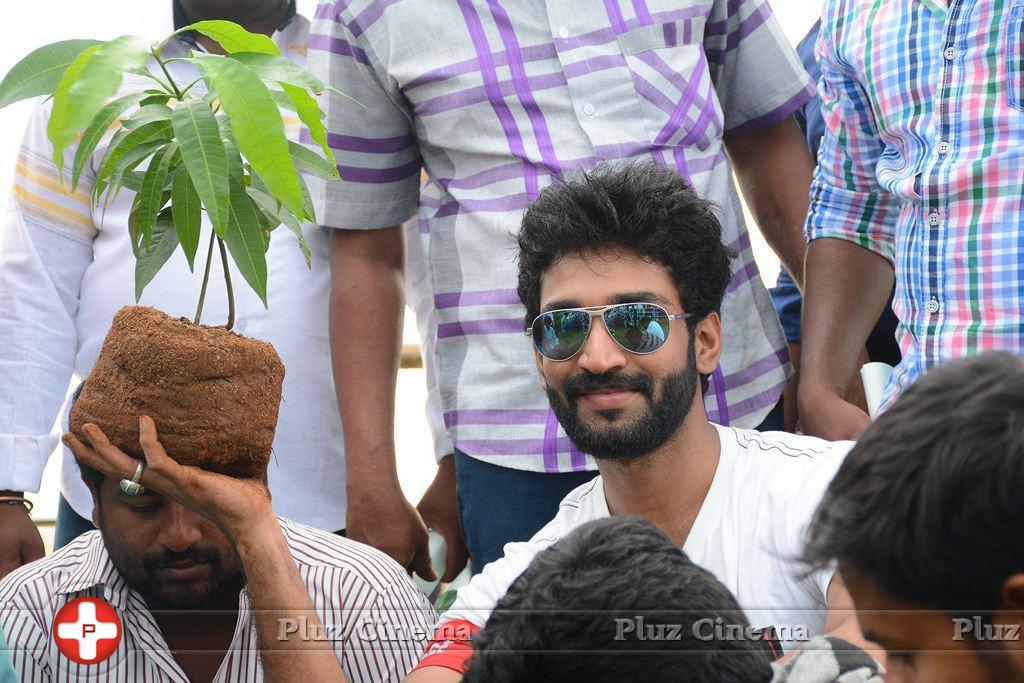 Aadhi Pinisetty - Aadhi Birthday Celebration and Clean India Campaign Photos | Picture 904567