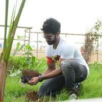 Aadhi Pinisetty - Aadhi Birthday Celebration and Clean India Campaign Photos | Picture 904572