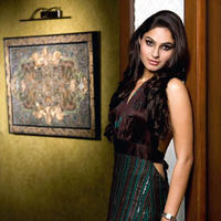 Andrea Jeremiah Latest Gallery | Picture 908562