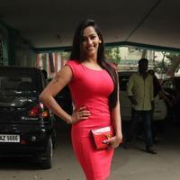 Sanjana Singh - Meagamann Movie Success Meet Photos | Picture 918835