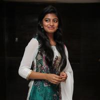 Anandhi - Kayal Movie Audio Launch Photos | Picture 868433