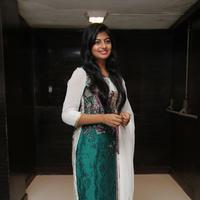 Anandhi - Kayal Movie Audio Launch Photos | Picture 868474