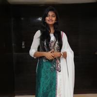 Anandhi - Kayal Movie Audio Launch Photos | Picture 868493