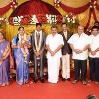 Anbalaya K Prabhakaran Daughter Wedding Stills | Picture 871544