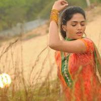Sunaina - Vanmam Movie New Stills | Picture 874548